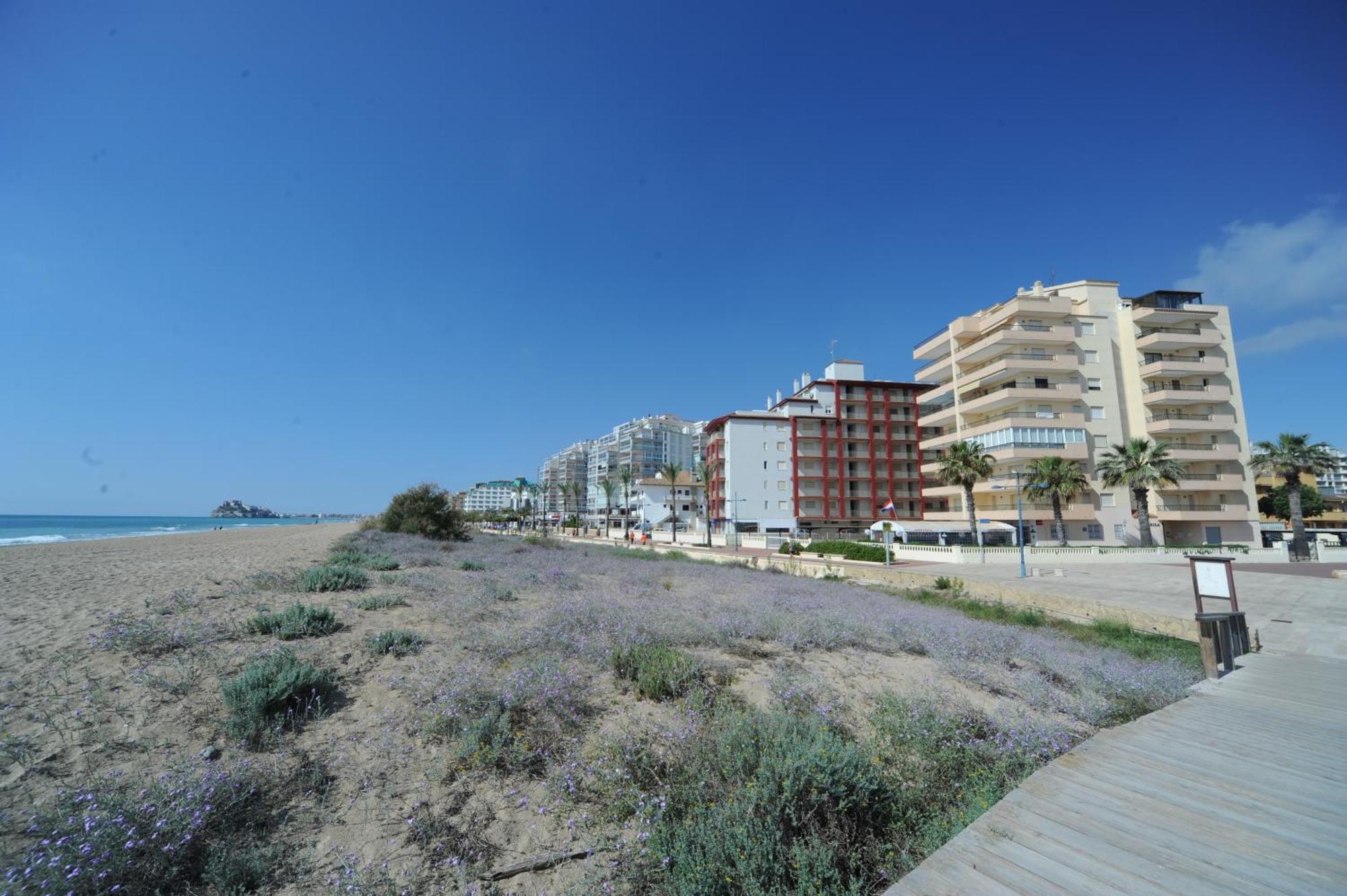 PeñíscolaMarina Vistamar Orangecosta公寓 外观 照片