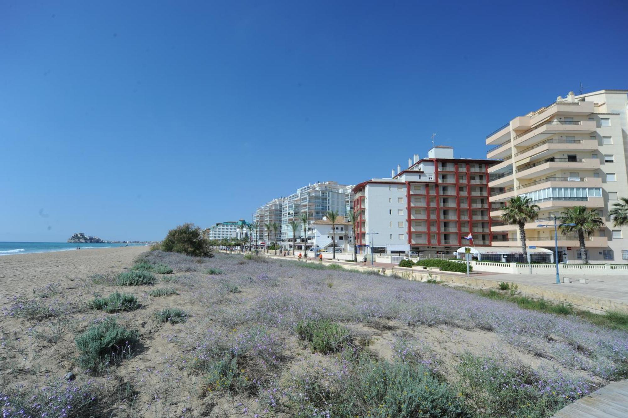 PeñíscolaMarina Vistamar Orangecosta公寓 外观 照片